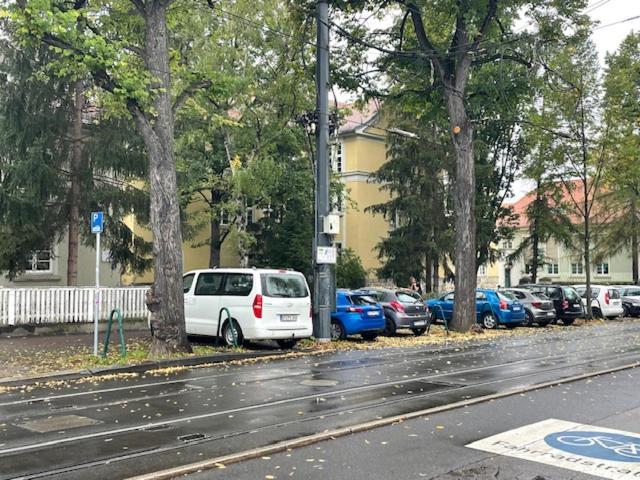 Wegerich